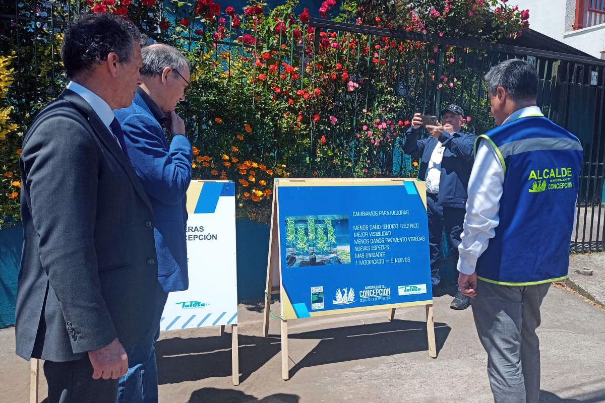 renovación de aceras con acceso universal en Concepción
